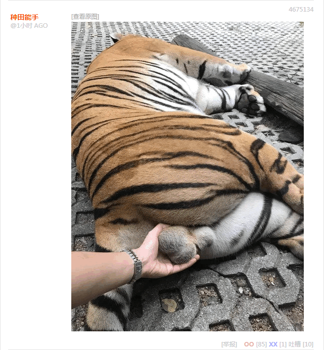 无聊图 №4675134
