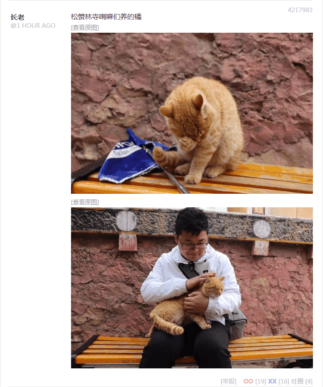 无聊图 4217983