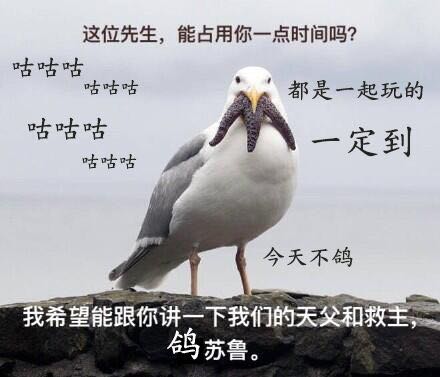 希望能跟你讲一下咱们的兲爹和救主