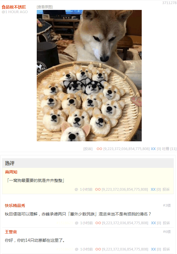 「一窝狗最重要的就是齐齐整整」