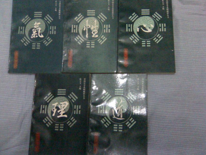 中国传统哲学范畴精粹丛书