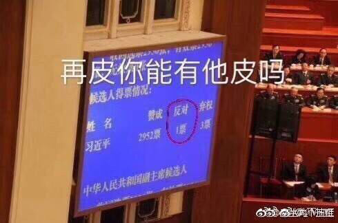 全票冻蒜人民领袖