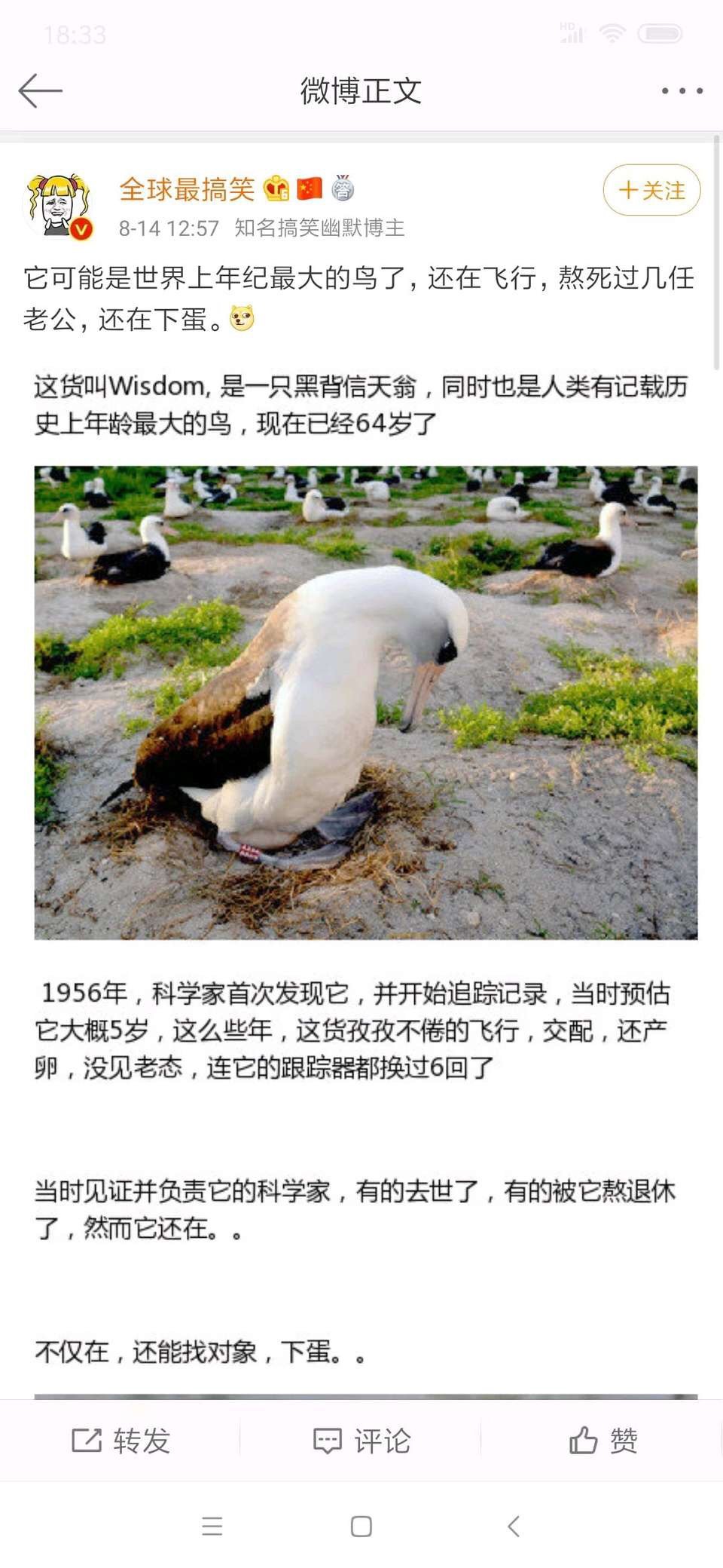 老当益壮