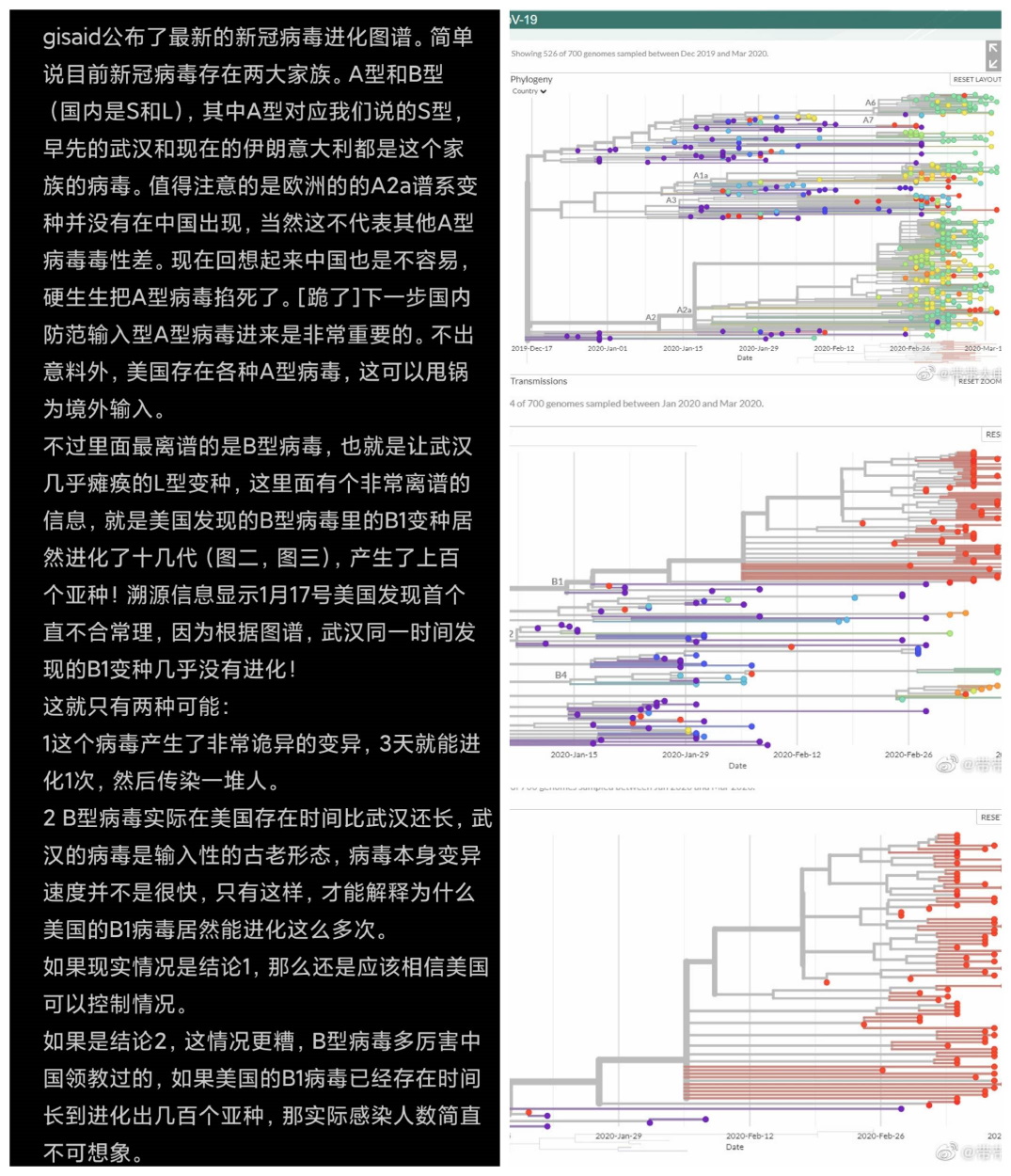 新时代王冠肺炎病毒进化图谱